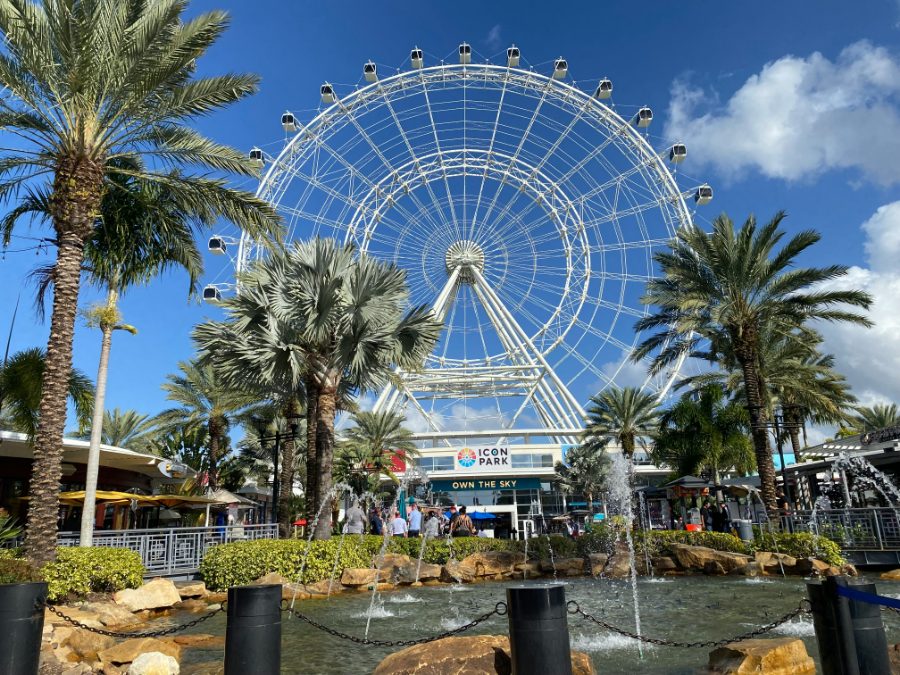 The observation wheel at ICON Park